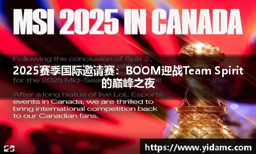 必博bibo官方网站
